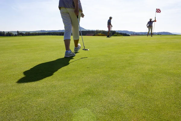 Jouer Golf Jour Été Pelouse Verte Dans Campagne Sud Allemande — Photo