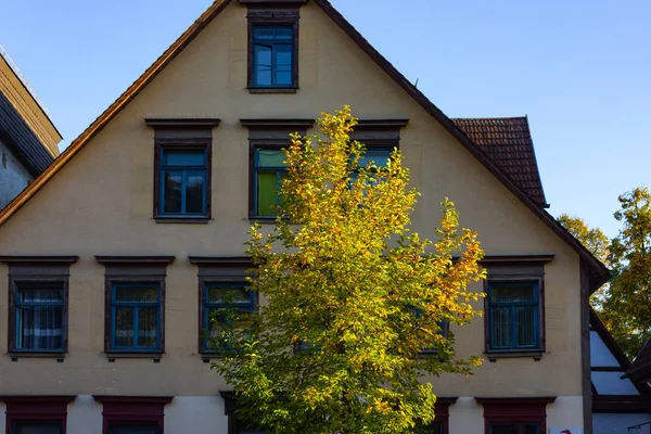 Autumn Color Tree Leaves City Building Facades South Germany — Stock Photo, Image