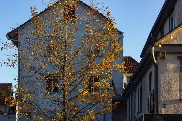 Herbstfarbener Baum Und Blätter Häuserfassaden Süddeutschland — Stockfoto