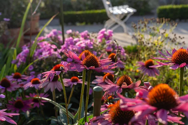 夏季傍晚在巴伐利亚乡村的小屋花园花卉 — 图库照片