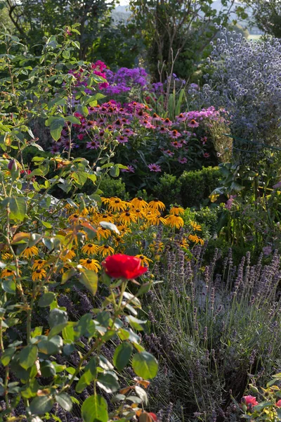 夏季傍晚在巴伐利亚乡村的小屋花园花卉 — 图库照片