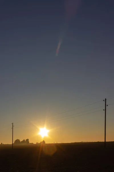 Telegraph Poles Horizon Summer Sunset Warm Colors — Stock Photo, Image