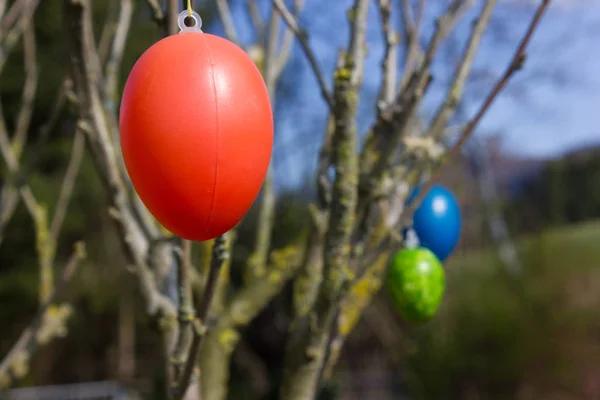 Idyllic Easter Scenery Easter Eggs Hanging Tree Royalty Free Stock Images