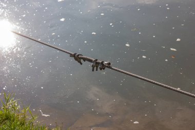 İp ve Güney Almanya Ulm şehir'in güneşli riverside kilit.