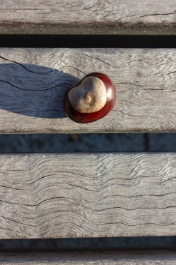 ahşap masa üzerinde parlak kahverengi kestane