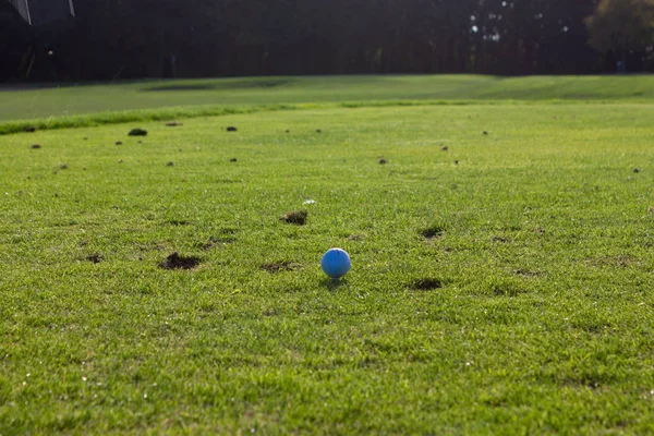 Senior Férfi Játszik Golf Zöld Gyepen Dél Németországban Napnyugtakor Ragyogó — Stock Fotó