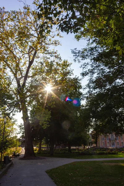 Rayos Sol Través Los Árboles Del Parque Ciudad Sur Alemania — Foto de Stock