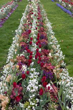 yağmur damlaları etkilerini çiçeği tarafından tamamen farklı görünüyor çiçek yağmurlu bir günde Güney Almanya görünümünde rokoko parkta