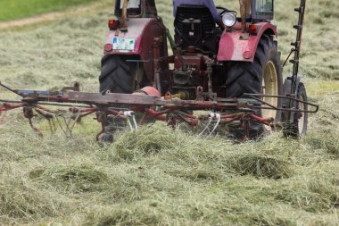 Haziran ayında Güney Almanya çok güneşli bir günde gördüğünüz traktör ve çiftçi kendi hayvanlar yiyecek saman yapma