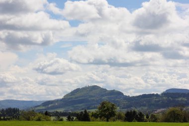 mavi gökyüzü ve sarı bloom ile yeşil çimen