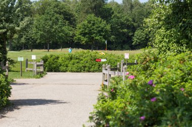 çok güneşli bir Güney Almanya'da golf çim yeşil gördüğünüz ve bayrak ve oyuncular ve kum alanları ve golfplace çevresinde yolu olan mahkeme