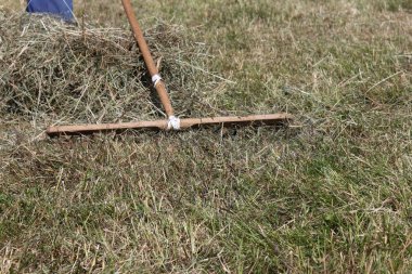 Haziran ayında Güney Almanya çok güneşli bir günde saman, araçları ve mavi pantolon gün sona ermeden işi için çalışkan çiftçi haying görüşürüz