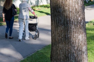 Haziran ayında Güney Almanya çok güneşli bir günde kıdemli rollator ile görmek ve şirket size iyi eğlenceler tarihi şehir parkında