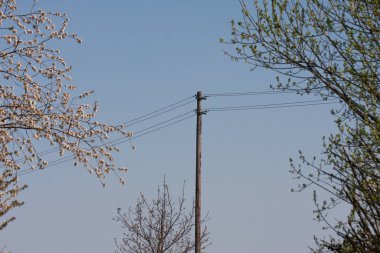 akım hattı eternet üzerinde mavi renk sky 
