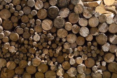 Haziran ayında Güney Almanya çok güneşli bir günde kırsal Bahçe Gölge ağaçlarının bir manastır alanda gerçekten kuru odun yığınları ile görmek