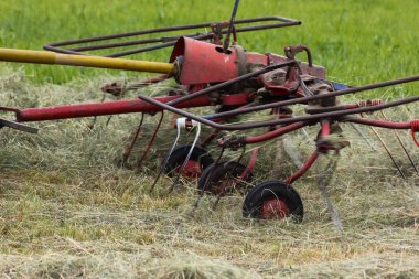 Haziran ayında Güney Almanya çok güneşli bir günde gördüğünüz traktör ve çiftçi kendi hayvanlar yiyecek saman yapma