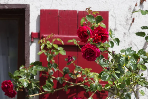 Día Muy Soleado Junio Sur Alemania Ven Detalles Colores Casas — Foto de Stock