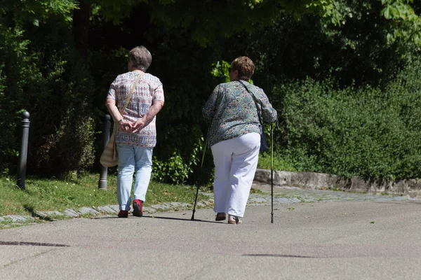 Very Sunny Day June South Germany You See Seniority Ladies — Stock Photo, Image