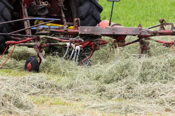 Una Giornata Molto Soleggiata Giugno Nel Sud Della Germania Vede — Foto Stock