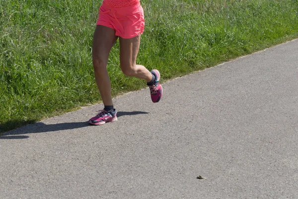 Fitness Slunečný Letní Den Jako Běh Nebo Cyklistika Někdy Psem — Stock fotografie