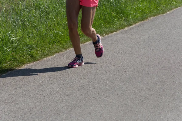 Fitness Een Zonnige Zomerdag Zoals Hardlopen Fietsen Soms Met Hond — Stockfoto