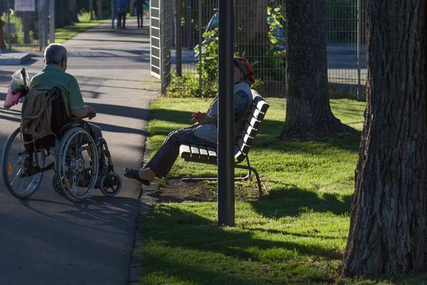 Lors Une Soirée Juin Allemagne Sud Dans Parc Central Une — Photo