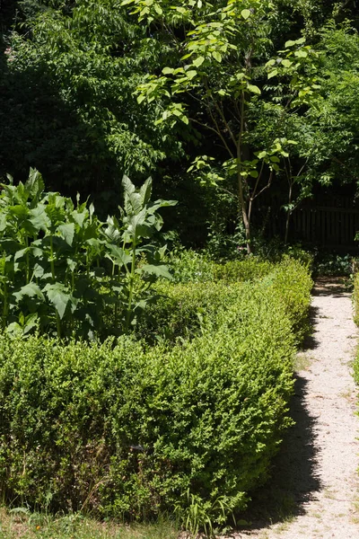 月に南ドイツの非常に晴れた日に ハーブや植物から影の回廊エリアの完全な庭の木の周辺の田園地帯を参照してください — ストック写真