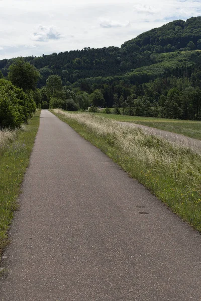 Einem Sonnigen Junitag Süddeutschland Sieht Man Einen Fahrradweg Unter Maisfeld — Stockfoto