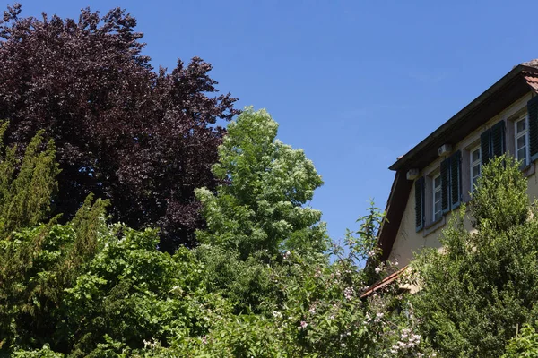 Día Muy Soleado Junio Sur Alemania Ven Casas Rurales Fachadas — Foto de Stock