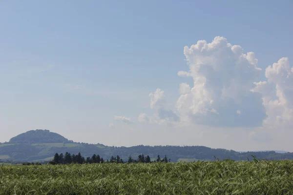 Día Muy Soleado Junio Sur Alemania Ven Nubes Cúmulos Verano —  Fotos de Stock