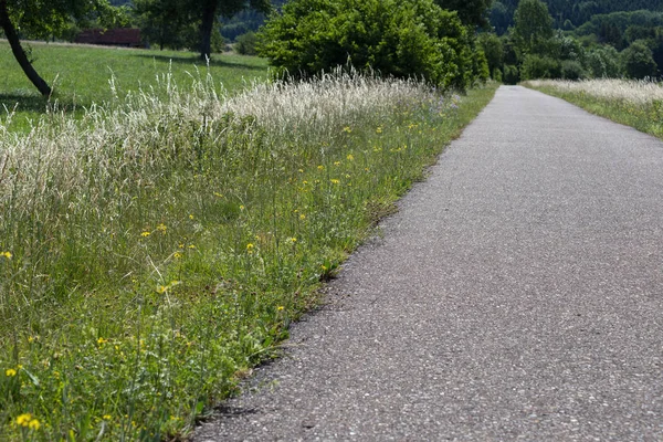 Día Muy Soleado Junio Sur Alemania Sendero Para Bicicletas Debajo — Foto de Stock