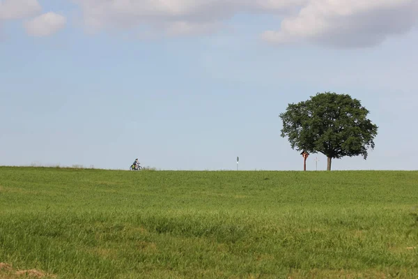 南ドイツで 月に非常に晴れた日に 宗教的な十字架の木の近くの木に運転自転車を参照してください — ストック写真
