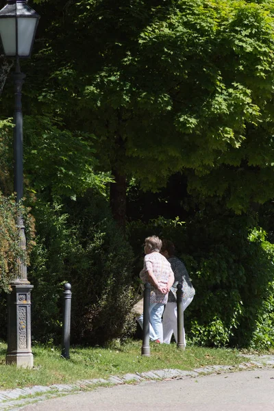 Par Une Journée Très Ensoleillée Juin Allemagne Sud Vous Voyez — Photo