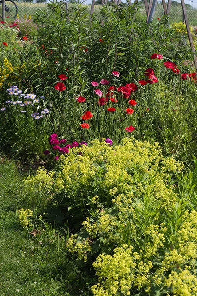 在一个非常阳光明媚的一天 在6月在德国南部 你看到的细节和颜色的山寨乡村花卉花园安比恩特的农舍与伟大的橙色红色和粉红色和蓝色的颜色 — 图库照片