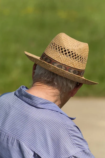 Solig Dag Juni Södra Tyskland Landsbygd Ser Två Äldre Herrar — Stockfoto