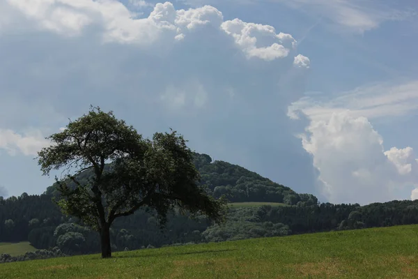 Dia Muito Ensolarado Junho Alemanha Sul Você Nuvens Cúmulo Verão — Fotografia de Stock