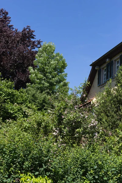 Солнечный День Июне Южной Германии Увидите Сельские Дома Фасады Деревьями — стоковое фото