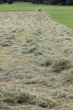 Haziran ayında Güney Almanya çok güneşli bir günde saman alanına bakın