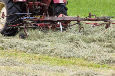 Haziran ayında Güney Almanya çok güneşli bir günde gördüğünüz traktör ve çiftçi kendi hayvanlar yiyecek saman yapma