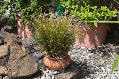 Haziran ayında Güney Almanya çok güneşli bir günde ayrıntıları ve yazlık ülke ev ön kapı ile bahçe sulama kutuları ve mum çıkartmalar gibi için vintage dekorasyon renkleri görmek