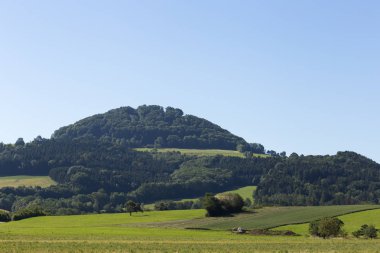 Haziran ayında Güney Almanya çok güneşli manzara mavi yaz göğün ve kazıcı altın yeşil mısır ve ağaçlar yanında mısır tarlası arkasında altında görmek