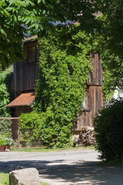 Haziran ayında Güney Almanya çok güneşli bir günde kırsal evleri ve cepheler ağaçlar ve bitkiler küçük köy ve yerler etrafında görmek