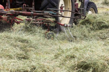 Haziran ayında Güney Almanya çok güneşli bir günde gördüğünüz traktör ve çiftçi kendi hayvanlar yiyecek saman yapma