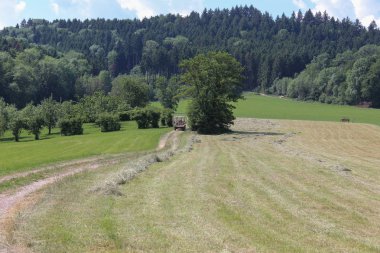 Haziran ayında Güney Almanya çok güneşli bir günde saman, araçları ve mavi pantolon gün sona ermeden işi için çalışkan çiftçi haying görüşürüz