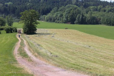 Haziran ayında Güney Almanya çok güneşli bir günde yaz yatay, yeşil ve mavi gökyüzü ve yol işaretleri için ufuk görmek
