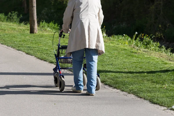 Einem Sonnigen Tag Seniorin Fuß Park Mit Rollator — Stockfoto