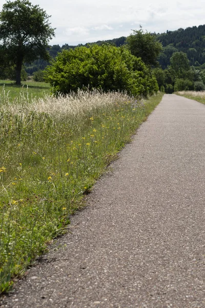 Día Muy Soleado Junio Sur Alemania Sendero Para Bicicletas Debajo — Foto de Stock