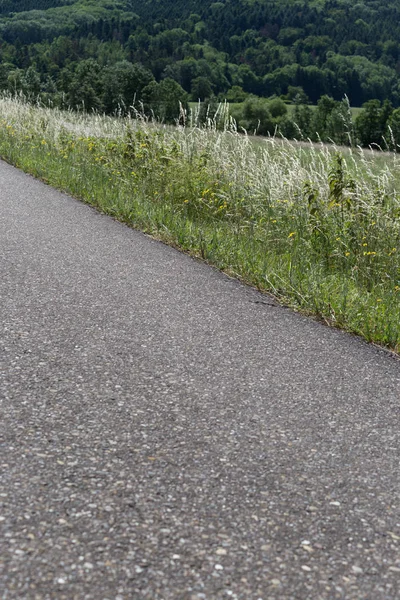 南ドイツで 月に非常に晴れた日にトウモロコシ畑と芝生の下に自転車用トレイルが表示します — ストック写真