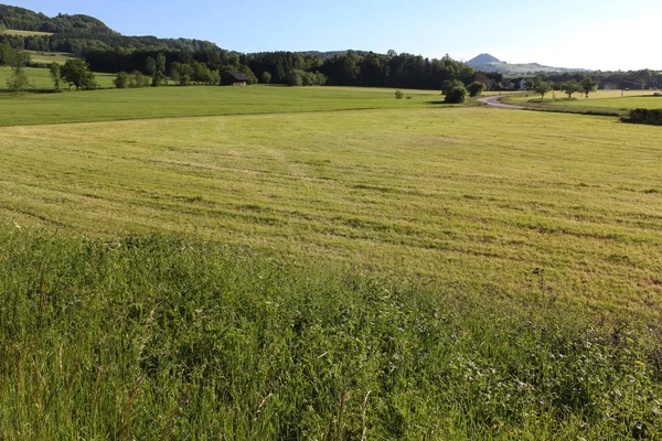 Einem Sehr Schönen Sonnigen Maitag Ende Mai Süddeutschland Strahlend Blauer — Stockfoto