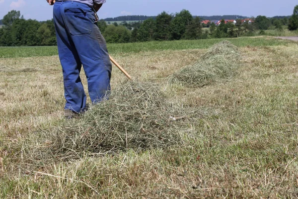Very Sunny Day June South Germany You See Hay Haying — 图库照片